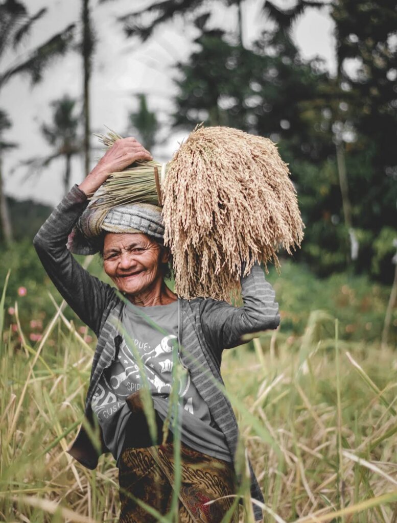 local people after finish rice fields