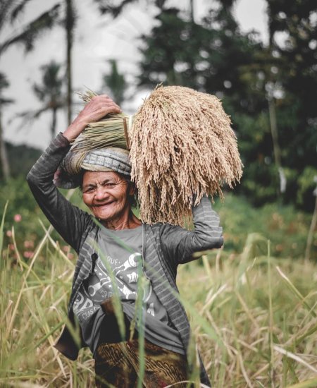 local people after finish rice fields