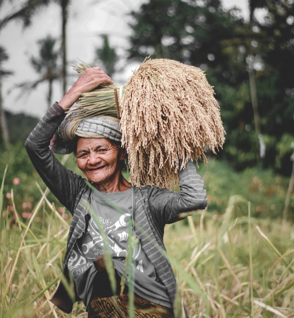 local people after finish rice fields